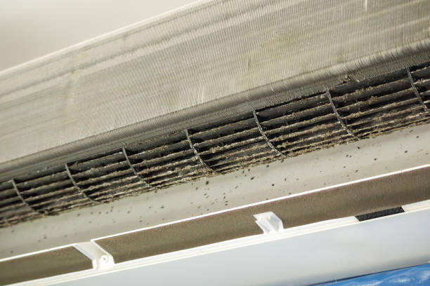 Best Air Duct Cleaning Near Me  in The Woodlands, TX